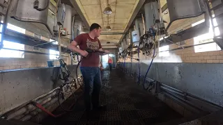 Washing Milking Parlor for Dairy Cows in Under Four Minutes