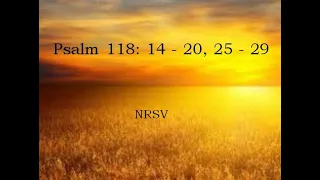 Scripture Psalm 118: 14 - 20, 25 - 29 (NRSV)