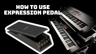 How to use Expression Pedal Foot Controller on Korg Exp-2 / synthesizer workstation