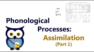 Phonological Processes: Assimilation (Part 1)