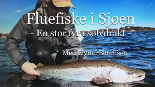 Fluefiske i sjøen. Episode 5 - 2019. En stor fyr i sølvdrakt. Med Fluefiskern Eivind Berulfsen.