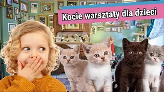 Warsztaty z kotami😺 w herbaciarni Kocie Oczy w Łodzi🫖