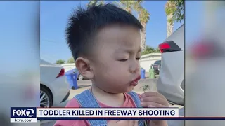 Sleeping toddler killed in crossfire on freeway