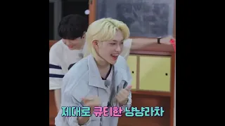 [스트레이키즈 리노 필릭스] 돼끼 빠진 냥냥라차 서핀