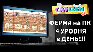 CATIZEN Ферма на ПК!!! ПЛЮС 4 уровня в День!!!