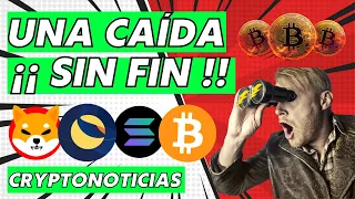 ✅ NOTICIAS CRIPTOMONEDAS HOY 👉VOYAGER DIGITAL, 3AC, BITCOIN, ETHEREUM, SOLANA, SHIB | CRIPTONOTICIAS