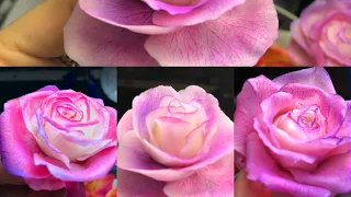Нереально красивые розы из холодного фарфора / #мастер-класс#холодныйфарфор#грозный#чечня