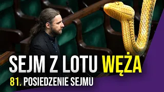 Czy to już koniec ? — Sejm z lotu węża #10 [podsumowanie 81. posiedzenia]