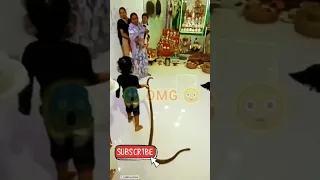 OMG 😱 kids playing with snake #shorts #youtubeshorts #funnyvideos #viralshorts #shortvideo #short