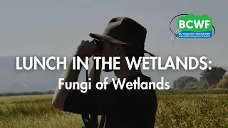 Fungi of Wetlands - Lunch in the Wetlands Webinar