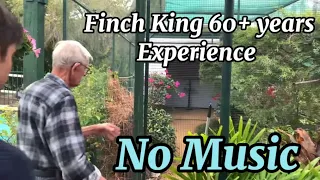 Finch King 60+ years experience