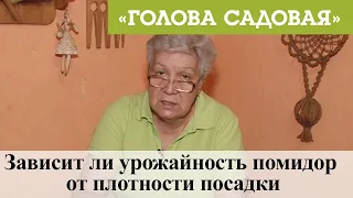 Голова садовая - Зависит ли урожайность помидор от плотности посадки