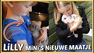 LAATSTE KEER KONiJNTJE MiNi KNUFFELEN VOORDAT HiJ NAAR NiEUW THUiS GAAT 🐰 |  Bellinga Vlog #2581