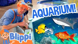 Blippi Visits an Aquarium (Ody Aquarium) | Blippi Full Episodes | Sea Animals for Kids | Blippi Toys