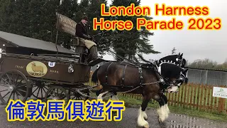 London Harness Horse Parade 2023 倫敦馬俱遊行 伦敦马具马车巡游