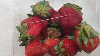 Australia's strawberry needle scare spurs proposal for 15-year jail term