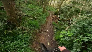 Hardtail Adventure: Exploring Ireland's MTB Trails on Trek Roscoe 7