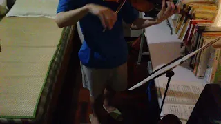 西貝流士小提琴協奏曲第1樂章之2(小提琴純自學) Sibelius Violin Concerto 1st Mov. - Part 2 (completely self-taught )
