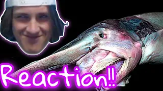 Why Sharks get Creepier the Deeper you Go (REACTION)