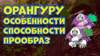 ОРАНГУРУ. ОСОБЕННОСТИ, СПОСОБНОСТИ, ПРООБРАЗ