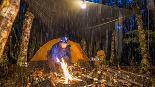 Camping in the Heavy RAIN - Surviving the Night Alone in my TENT.