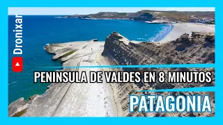 Penísinsula de Valdes en 8 minutos - Puerto Madryn - Piramides - Caleta - Pardelas y mas - 4K 📺