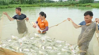 Harvesting the fish in the farm - Go to the market to sell | Wild Forest Life