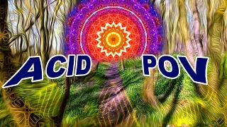 Acid Pov | Trippy Nature Video |  Acid Replication
