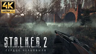 STALKER 2 GamePlay Looks Amazing | Unreal Engine 5 4K 60 FPS GamePlay