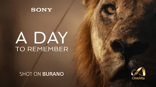 A Day To Remember | a Sony BURANO film | 4K HDR