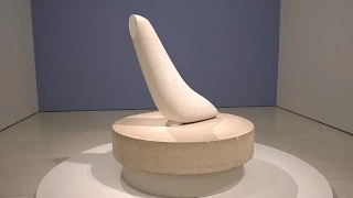 Constantin Brancusi: Seal and Flying Turtle