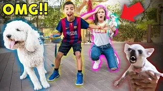 I BOUGHT A DOG WITHOUT MY MOMS PERMISSION!! *PRANK GONE WRONG* | The Royalty Family