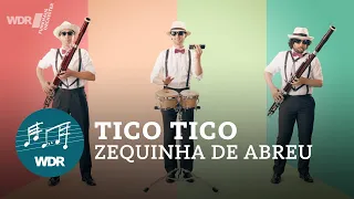 Zequinha de Abreu - Tico Tico | WDR Funkhausorchester