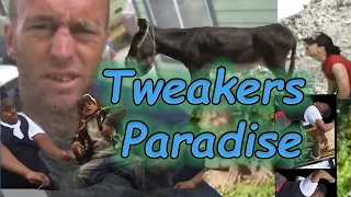 Tweakers Paradise - Best Of Tweakers 2021 Compilation Episode 1