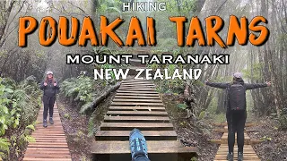 Hiking Pouakai Tarns - BIGGEST REGRET! | Mt Taranaki | New Zealand