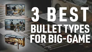 3 BEST BULLET Types for BIG GAME