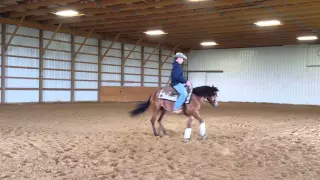 2014 mare by Custom Cash Advance