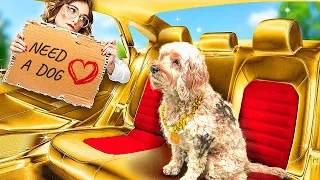 DOG WAS ADOPTED BY BILLIONAIRE FAMILY || I’M PRINCESS IN ROYAL FAMILY || RICH VS POOR FAMILY