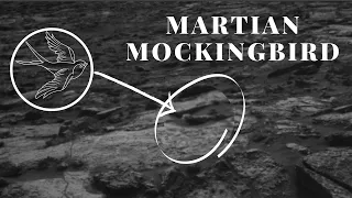[MARS]- Martian MockingBird | Nasa Mars Planet by Mars Rover Curiosity on Sol 1475 |
