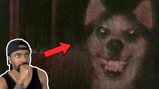 The Smiling Dog (Creepypasta)