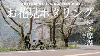 ミニベロ【DAHON k9x & DAHON k3】輪行でお花見ポタリング "奥多摩湖〜小菅〜大月"