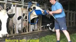 A Scoop for Easy Bolusing