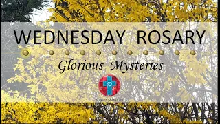 Wednesday Rosary • Glorious Mysteries of the Rosary ❤️ April 10, 2024 VIRTUAL ROSARY -MEDITATION