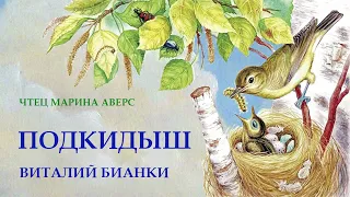 ПОДКИДЫШ | Виталий Бианки | СКАЗКИ ДЛЯ ДЕТЕЙ | Аудио сказка |СКАЗКИ ДЛ ДЕТЕЙ НА НОЧЬ ОНЛАЙН