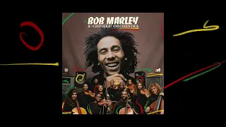 Turn Your Lights Down Low – Bob Marley and The Chineke! Orchestra (Visualiser)