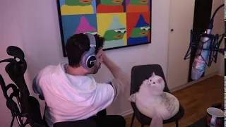 NymN Plays with his Autism support cat (Twitch highlight)