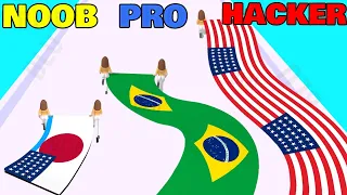 NOOB vs PRO vs HACKER in Flag Painters