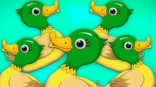 lima bebek kecil | bebek sajak | Five Little Ducks | Songs For Childrens