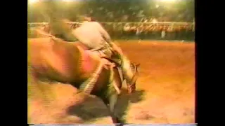 Rodeio Marcos Bueno Ribeirão Claro - PR - 1998 - Campeão