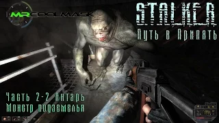 S.T.A.L.K.E.R. Путь в Припять. Часть 2-2. Янтарь. Монстр подземелья.